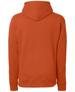 Champion Men's Powerblend Fleece Hoodie 30 Champion Men's Powerblend Fleece Hoodie -Champion Online 15346861 fpx