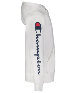 Champion Toddler Boys French Terry Zip Hoodie -Champion Online 18664005 fpx