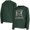 Champion Youth Green Hawaii Warriors Lockup Long Sleeve T-shirt -Champion Online 20563582 fpx