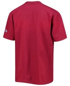 Champion Youth Garnet Florida State Seminoles Basketball T-shirt -Champion Online 20564075 fpx