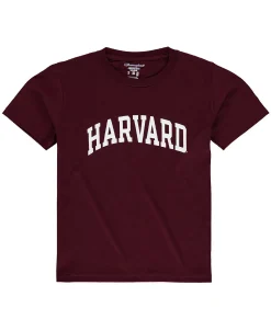 Champion Youth Crimson Harvard Crimson Basic Arch T-shirt