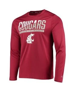 Champion Men's Crimson Washington State Cougars Wordmark Slash Long Sleeve T-shirt -Champion Online 22007149 fpx