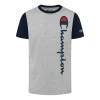 Champion Big Boys Vertical Script Color Blocked T-shirt 1 Champion Big Boys Vertical Script Color Blocked T-shirt -Champion Online 22101776 fpx