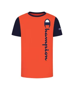Champion Little Boys Vertical Script Color Blocked T-shirt -Champion Online 22165456 fpx 1