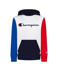 Champion Toddler Boys Color Blocked Script Hoodie Sweatshirt