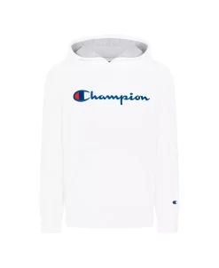 Champion Little Boys Signature Script Fleece Hoodie
