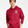 Champion Men's Powerblend Long-Sleeve Pullover Graphic Hoodie -Champion Online 22569735 fpx