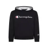 Champion Toddler Boys Signature Script Fleece Hoodie 2 Champion Toddler Boys Signature Script Fleece Hoodie -Champion Online 22863577 fpx