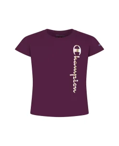 Champion Big Girls Color Block Script With Foil Short Sleeves Graphic T-shirt