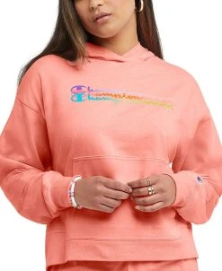 Champion Women's Cotton Midweight Jersey Hoodie