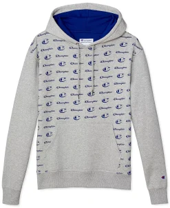 Champion Men's Pinstriped Hoodie -Champion Online 23766803 fpx