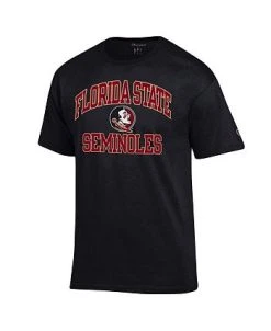 Champion Men's Black Florida State Seminoles High Motor T-shirt -Champion Online 23786543 fpx